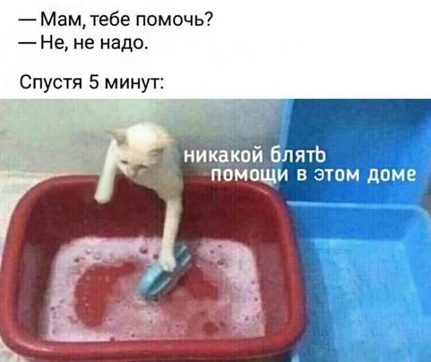 Мам, тебе помочь?