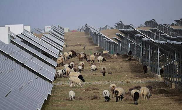 Источник фото: Xinhua/Zhang Long