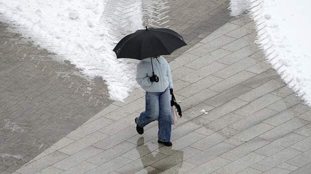 Синоптики спрогнозировали потепление и снег с дождем в Москве 17 ноября