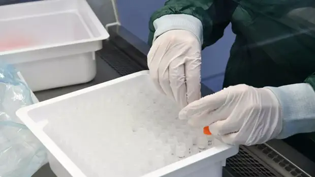 Вирусолог Жемчугов сравнил распространение коронавируса с другими эпидемиями