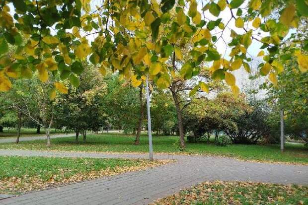 В выходные в Тамбове ожидается около +12 градусов