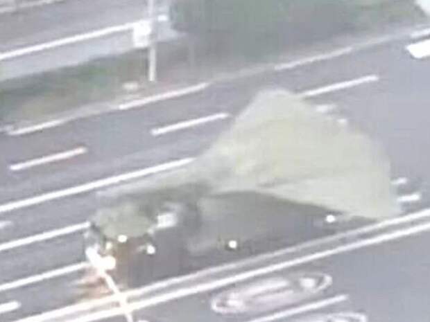 Бесхвостый дрон с тонким носом Бесхвостый дрон с тонким носом