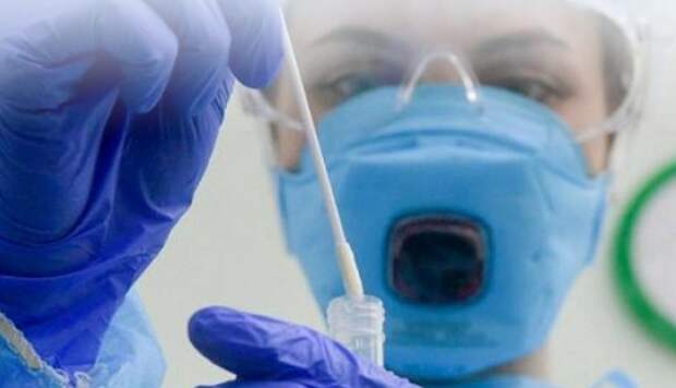 Экспресс-тест от российских ученых позволит выявить коронавирус на дому Фото: mos.ru
