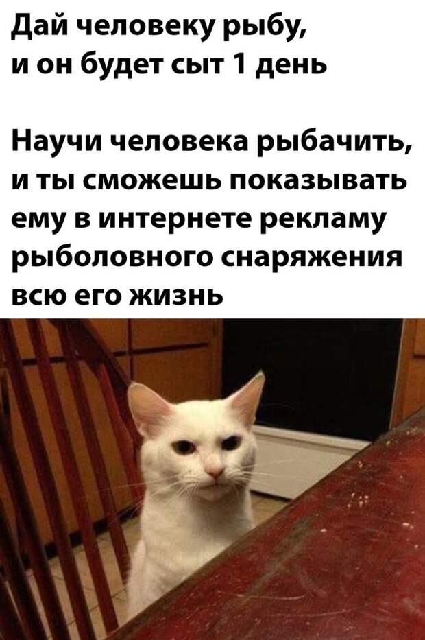 Смешные картинки 12 ноября 2021 года