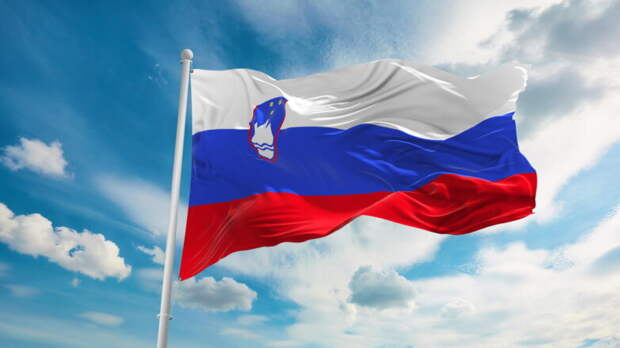 Премьер Словении предложил референдум о сохранении членства страны в НАТО