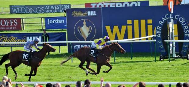 William Hill подписала контракт с Jockey Club Racing (JCR) и Go Racing Yorkshire