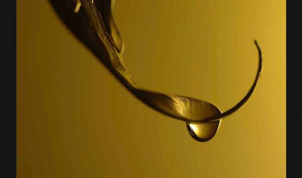 Победители ежегодного фотоконкурса Focus on Nature