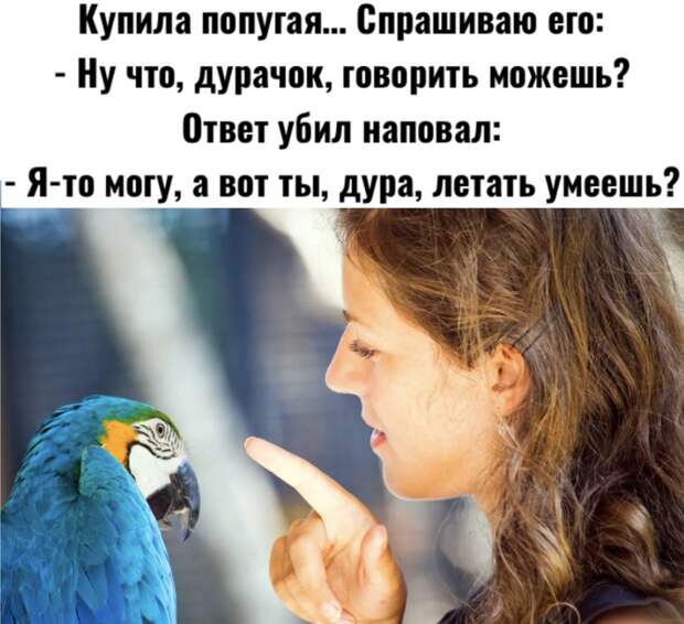 Картинку сделала сама, используя фото из интернета