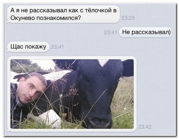 Голоса из соцсетей