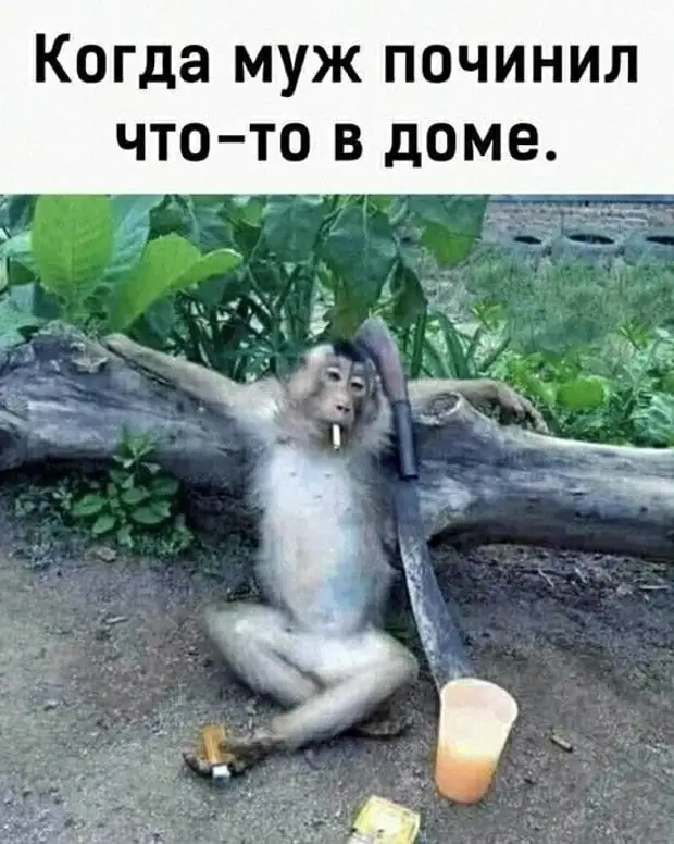 Кнопка 