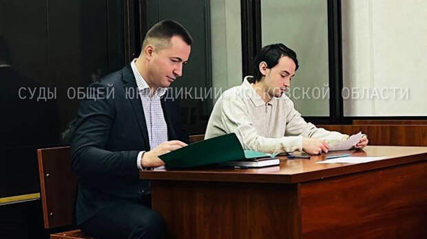 Суд назначил племяннику актрисы Варнавы 1 год и 8 месяцев принудительных работ