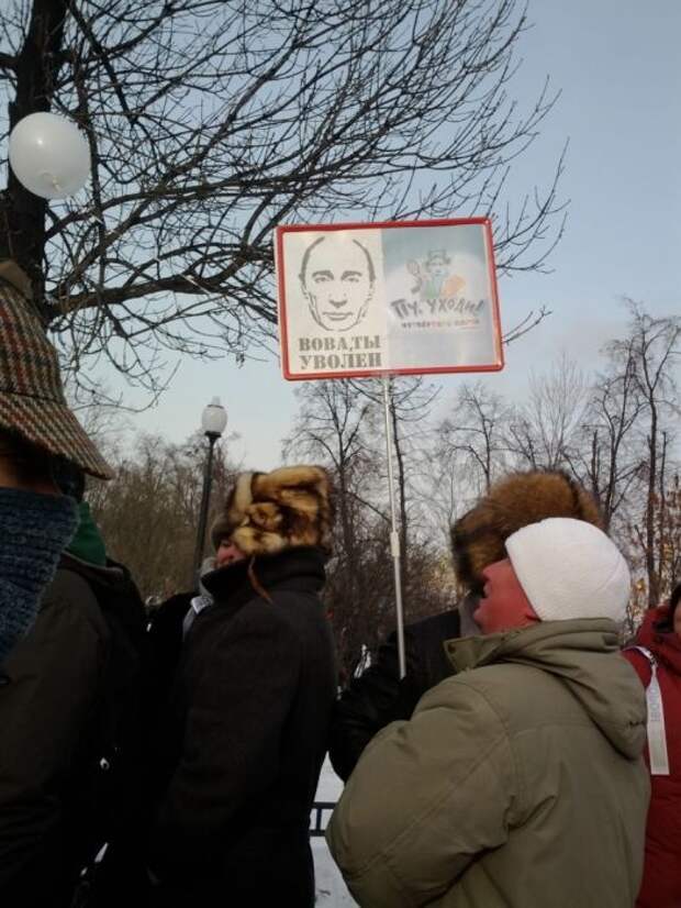 Плакаты с митинга (32 фото)