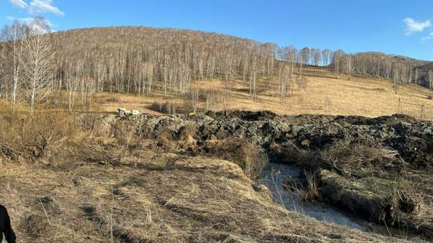 В Алтайском крае хотят запретить золотодобычу. Где именно и почему