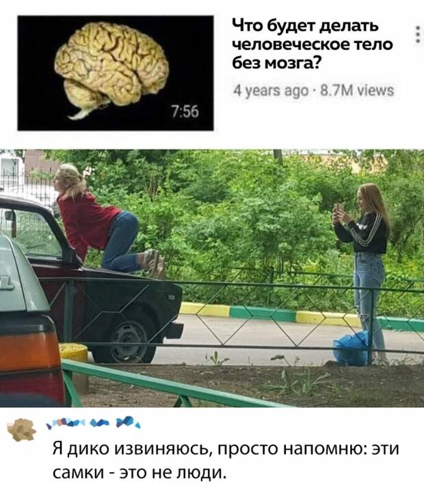 Подборка прикольных картинок