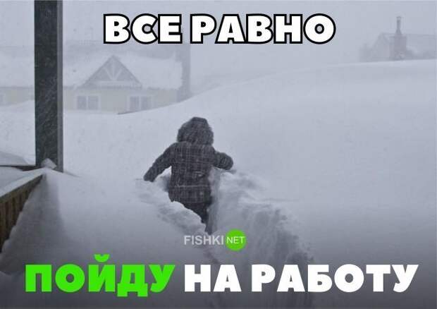 Что касается работы, то на нее пришли далеко не все. Некоторые еще на полпути Что касается работы, то на нее пришли далеко не все. Некоторые еще на полпути зима, казань, москва, погода, прикол, санкт- петербург, снег, юмор
