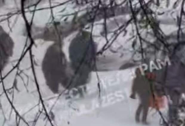 В Туле медики несли пациента до скорой из-за сильного снегопада