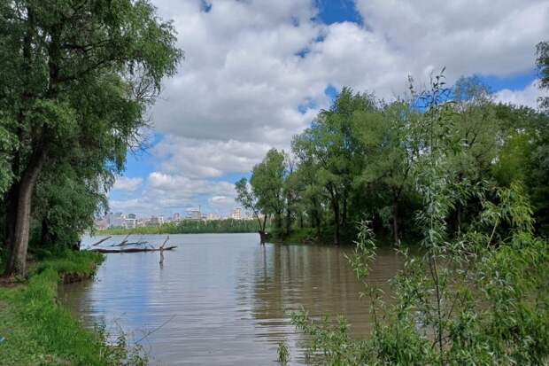 В Новосибирске уровень воды в Оби приблизился к критической отметке