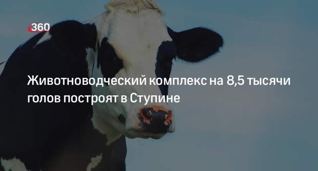 Животноводческий комплекс на 8,5 тысячи голов построят в Ступине