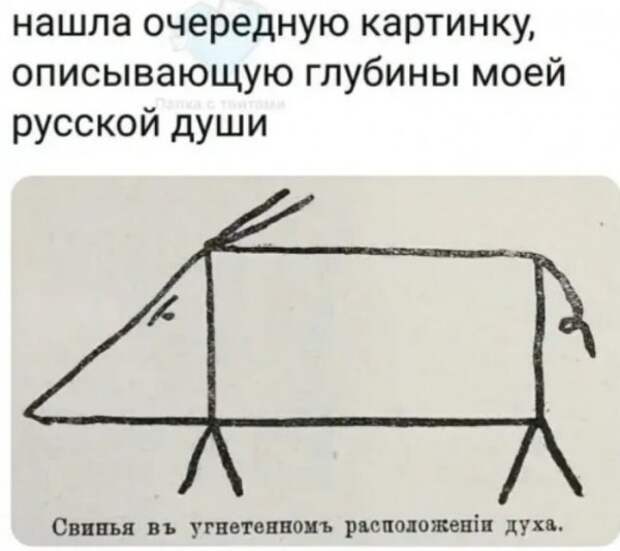 Юмор на любителя Юмор на любителя