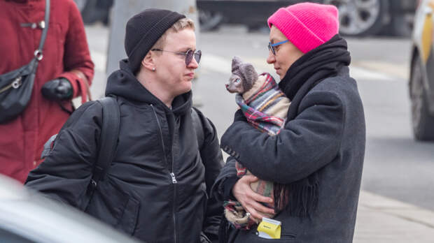 Пушистый домосед на выгуле: как безопасно вывести кошку на улицу