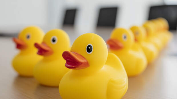 Мужчина уволил сотрудницу клининга за отказ найти 100 пластиковых уток