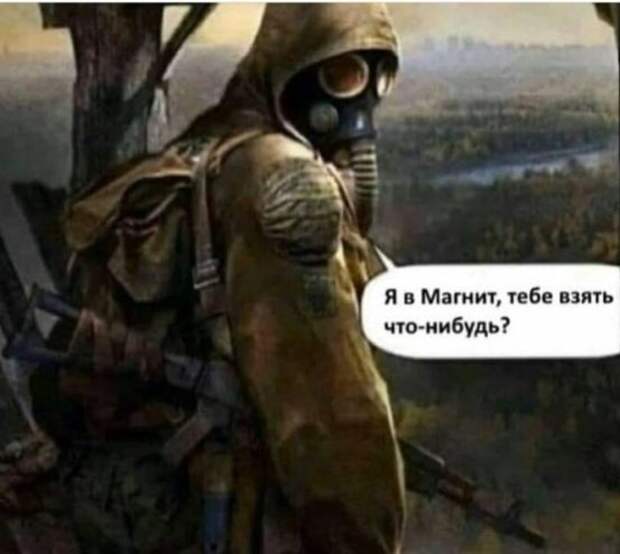 ТОП главных мемов про гречку и туалетную бумагу из тверских социальных сетей