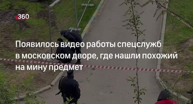 Источник 360.ru: информация о мине «Лепесток» в Отрадном не подтвердилась