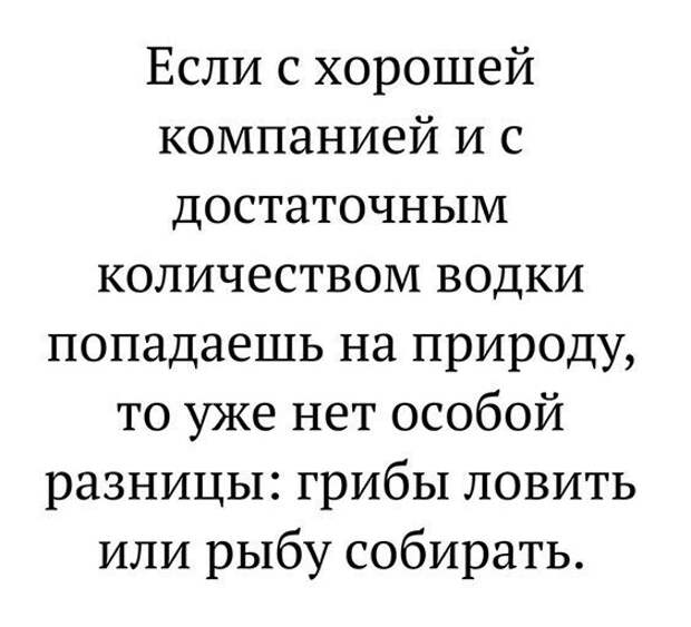 Пятничный алкогольный юмор