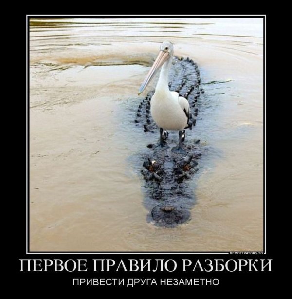 демотиваторное