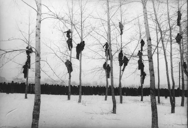 masterpieces16 Шедевры советской фотографии