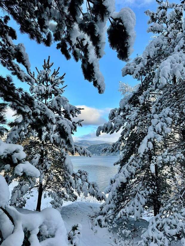 Телецкое озеро / Фото: Роман и Татьяна Воробьевы