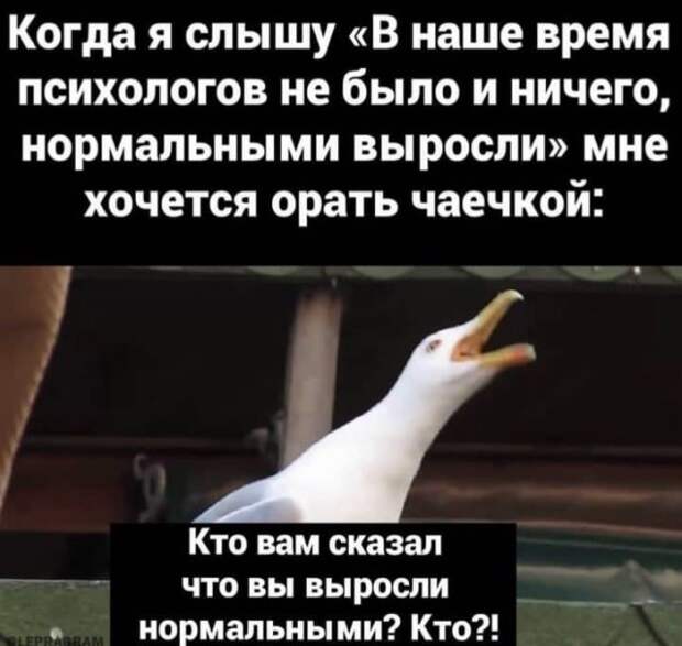 Лучшие шутки и мемы из Сети