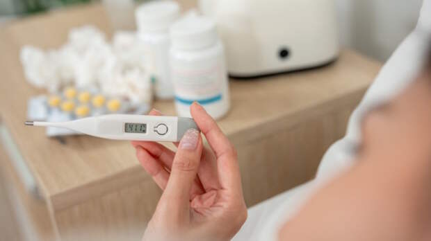 Сезон ОРВИ и гриппа под микроскопом: что рассказали эксперты-эпидемиологи