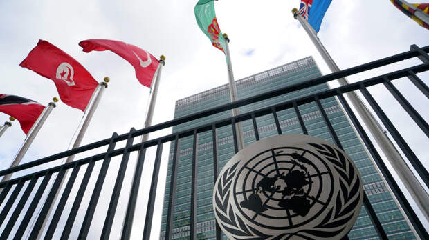 Москалькова обратилась в ООН в связи с решением по экстрадиции Бутягина