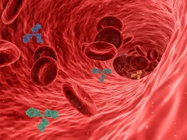 Хирург назвал 3 признака образования тромба
