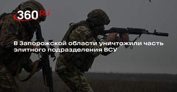 Кимаковский: взвод «Волки да Винчи» уничтожили в Запорожской области