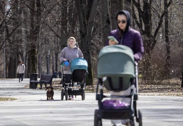 В 2025 году Соцфонд направил 2,3 трлн рублей на поддержку семей с детьми