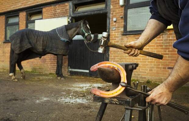 Зачем лошадям нужны подковы, если в дикой природе они живут и без них