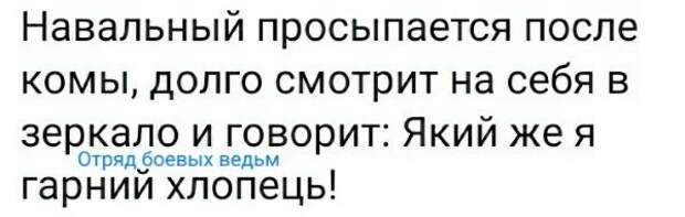 Политические картинки