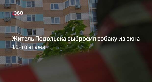 МВД: полицейские задержали жителя Подольска, выбросившего собаку из окна 11-го этажа
