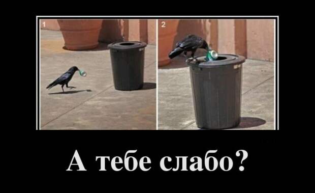 Демотиваторы  (30 фотографий)