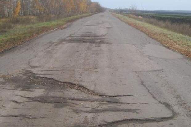 Около 7 км дороги в Мучкапском округе за 100 млн рублей отремонтирует компания из Воронежа