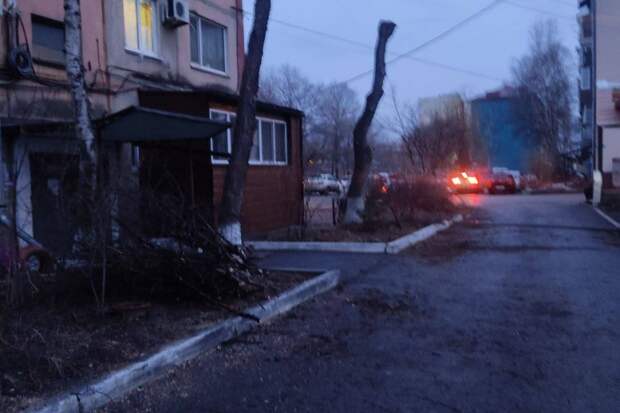 "Превратили в СССР": жители большого города Приморья ошарашены происходящим