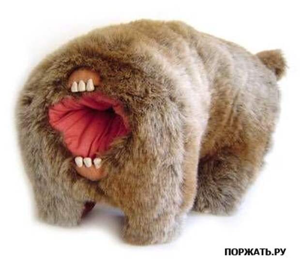 А теперь фото приколы для всех.