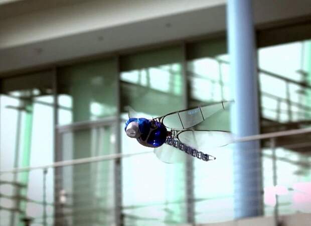 Летающий робот-стрекоза от компании Festo