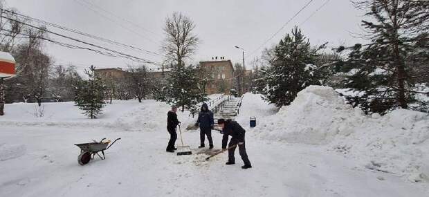 В Тульской области 12 тысяч человек вышли на "Снежный субботник"