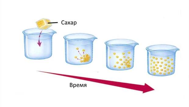 Как сварить суп вкуснее Кулинария, Суп, Еда, Длиннопост