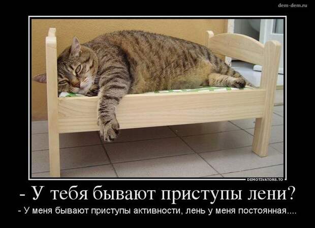 30 демотиваторов дня от 11-02-2014