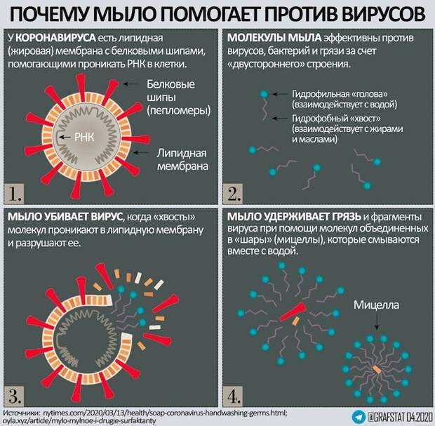 Почему мыло помогает против вирусов