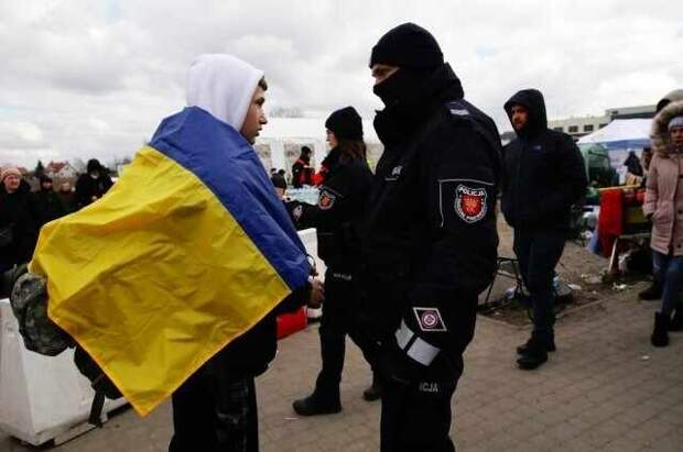Поляки будут раздавать повестки украинцам